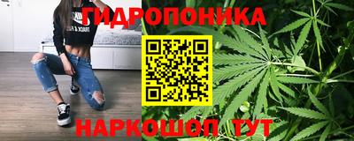 стаф Кинель